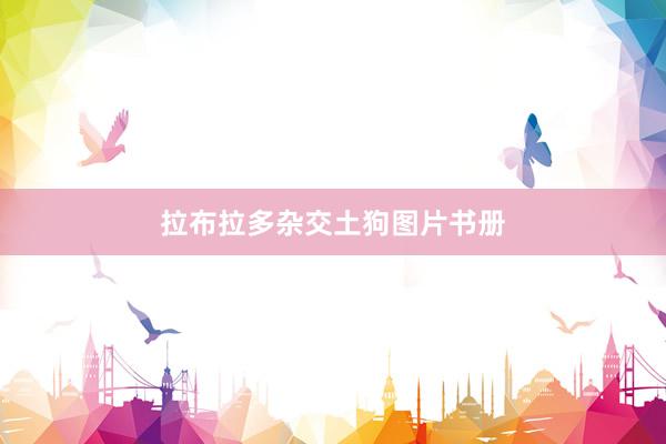 拉布拉多杂交土狗图片书册